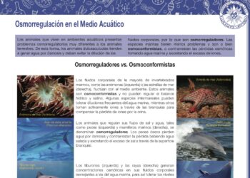 Osmorregulación en el medio acuático