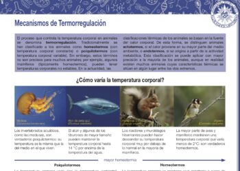 Mecanismos de termorregulación