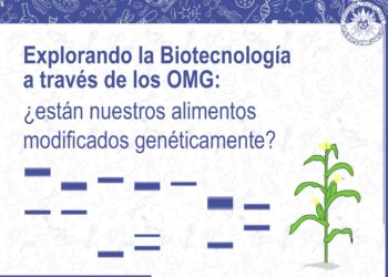 Explorando la biotecnología: ¿están nuestros alimentos modificados genéticamente?