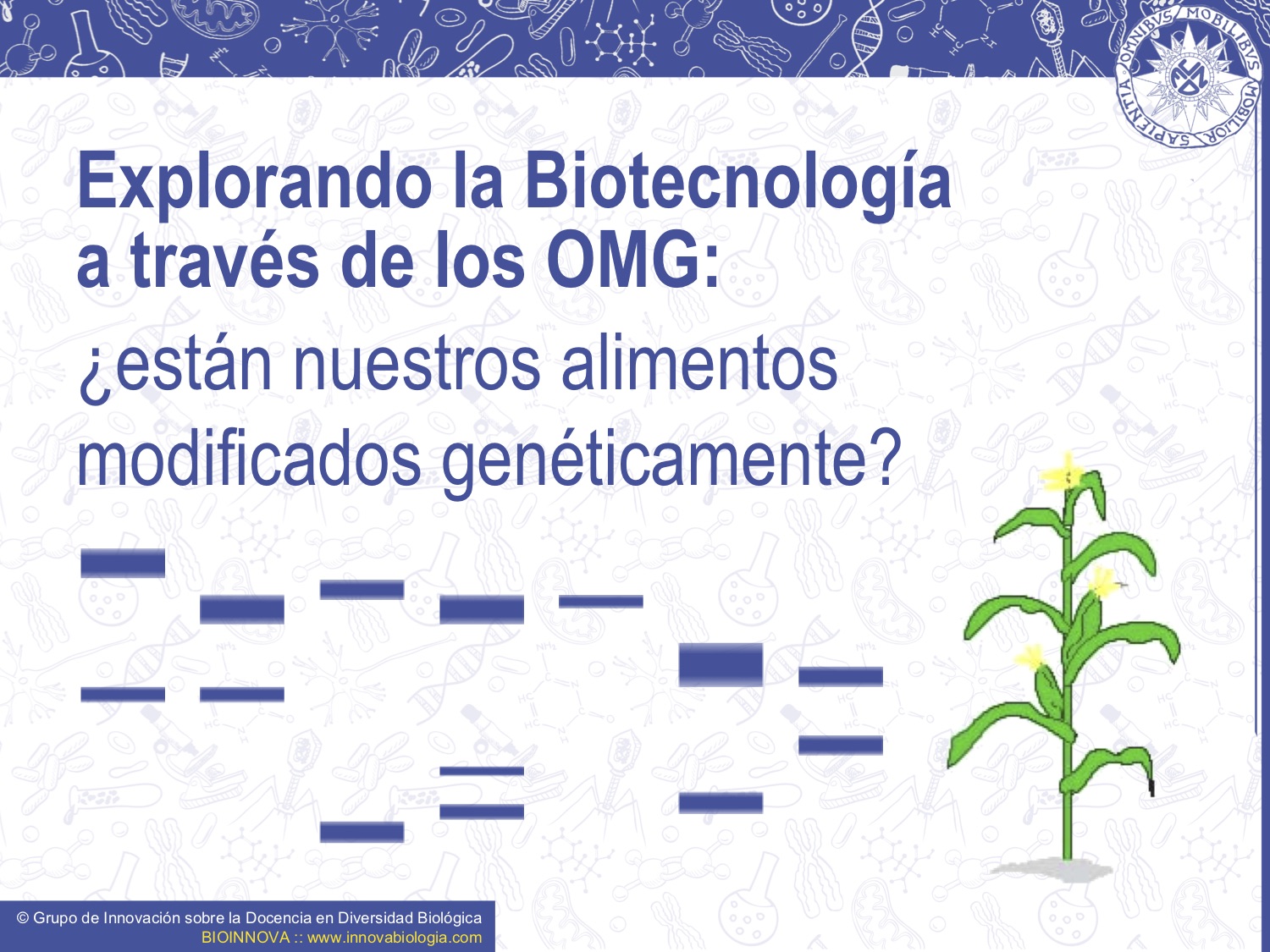 Explorando la biotecnología: ¿están nuestros alimentos modificados genéticamente?