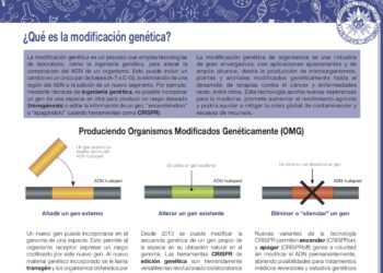 ¿Qué es la modificación genética?