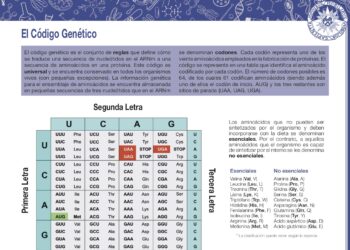 El código genético